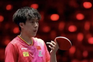 新加坡乒乓球19日（追寻乒乓之道，挥洒激情在新加坡）
