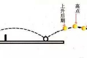 乒乓球旋转的判断方法与技巧（揭秘乒乓球旋转的奥秘，让你轻松应对任何旋转球）