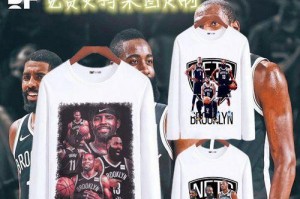 中国篮球NBA排行榜（探究中国篮球运动在NBA的发展，剖析排行榜中的球员实力与荣誉）