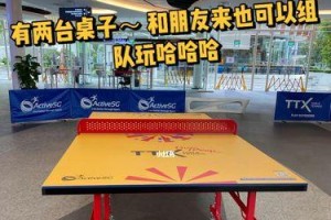 乒乓球与空调——一个不容忽视的关系（为何乒乓球比赛时不能开空调？）