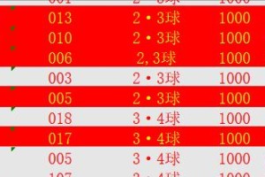 中国世界杯历史记录（中国足球进步与挑战的真实写照）