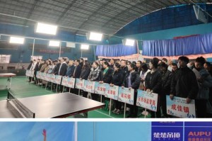 乒乓球应急防守动作的技巧与训练（提高应对突发情况的反应能力，从容面对强劲对手）