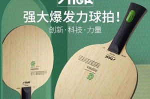 如何调整乒乓球球板以提升技术水平（掌握关键的调整技巧，让你的乒乓球发挥出更大的潜力）
