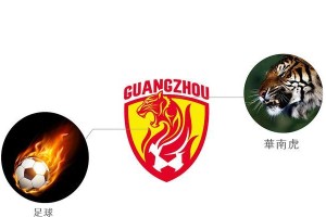 足球皇冠指数技巧（揭秘足球皇冠指数技巧，助您战胜竞争对手）