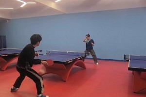 初期训练乒乓球的方法和技巧（掌握乒乓球基本功，打出初级水平）