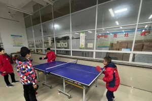 乒乓球拉直线练习的重要性（提高击球准确性与稳定性，）