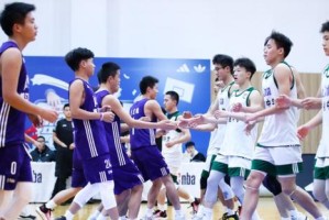 揭秘民间篮球联赛防守能力排名（探究篮球爱好者们防守技术的巅峰之作）