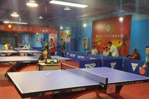 乒乓球——一种健身利器（以小球之势，让你焕发活力）