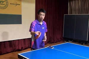 乒乓球直板教学大全（掌握直板技巧，成为乒乓球高手）