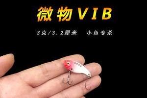 路亚红尾钓鱼的最佳饵料选择（钓鱼爱好者必知的路亚红尾饵料及技巧）