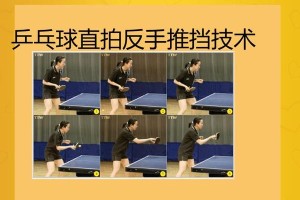 乒乓球弹击技术的发展与应用（以直拍为主的乒乓球弹击技术的演变和实践经验）