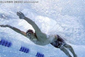 游泳技巧全解析（从零基础到游泳高手，15个技巧帮你成为优秀的游泳者！）