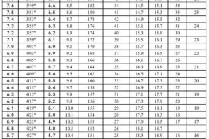 掌握足球中考800米技巧，提升综合能力（以高效训练和科学战术为基础，打造顶尖运动员）