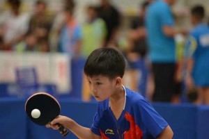 快速学会拍乒乓球的技巧（打造高效乒乓球击球手-从零开始的练习指南）