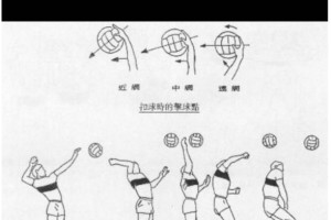 乒乓球技巧（掌握扣球技巧，提高乒乓球水平）
