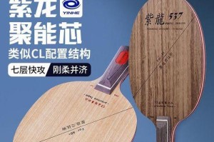 远台弹击技巧大揭秘（乒乓球高手教你如何在远台上发挥出色）