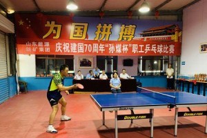 2012乒乓球冠军的辉煌征程（一位冠军的背后故事）