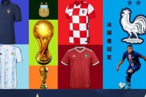 法国世界杯小组赛历史分数（胜者独尊，败者自省——探寻法国世界杯小组赛中的胜负之道）