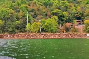 山地车美女游泳换气技巧（揭秘山地车美女游泳换气技巧，让你游得更轻松）