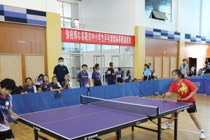 学生对乒乓球的喜爱程度及原因（揭秘学生对乒乓球的狂热热爱！）