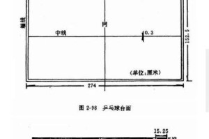 如何判断乒乓球的好坏（掌握乒乓球好坏的关键指标，选购更优质的球拍）