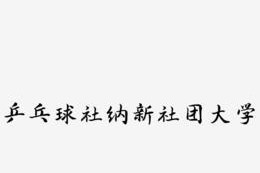 乒乓球字体设计意义的探索（探讨乒乓球字体设计在传达速度与力量的表达中的关键因素）