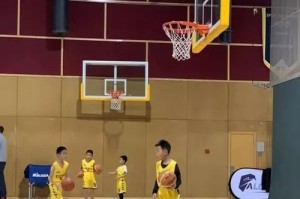 提升篮球技巧，打造坚实防守——U11篮球半场防守训练（培养年轻球员的协同防守意识和基本防守技巧）