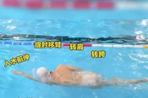游泳技巧大揭秘（游泳初学者必备！从零到一的游泳技巧与窍门）