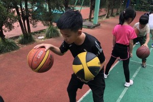 乒乓球初级球性训练指南（打造坚实基础进阶乒乓球）
