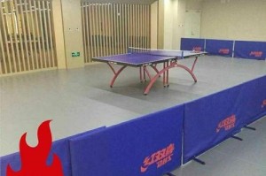 手工印刷乒乓球围挡的方法和技巧（简单实用的DIY乒乓球围挡制作指南）