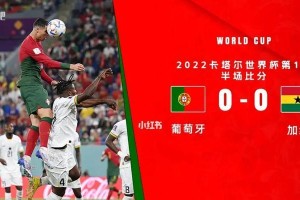 世界杯前十进球壮观绽放！（揭秘进球王的背后故事）