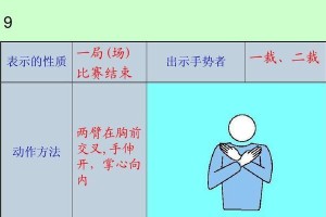 掌握排球三种手势的要领，提高技术水平（全面了解传统手势、海豚手势和指南针手势，助你获得比赛胜利）