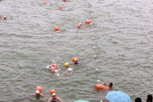 水中定位技巧（掌握水中定位，让你在公开水域游泳如鱼得水）