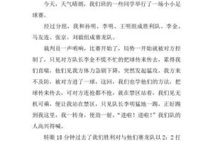 探秘足球小技巧连环赛的奥妙（打造技术大师的必备挑战赛）