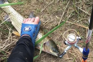 洞中路亚钓鱼技巧大揭秘！（在狭小的洞里，如何运用路亚钓鱼技巧？）