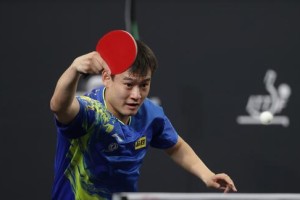 与专业乒乓球选手的邂逅——揭开他们背后的辛酸与付出（拼搏、汗水与梦想）