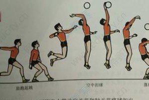 乒乓球扣球技巧大全（掌握扣球技巧，提升乒乓球水平）