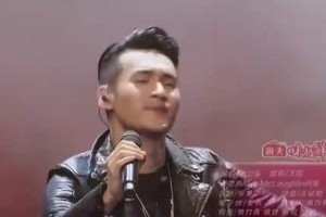 乒乓球与音乐的完美交融（跨界歌王乒乓球冠军的独特魅力）