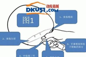 掌握足球现场直拍技巧的秘诀（打造精彩瞬间的摄影艺术）