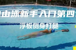 自游泳打腿的技巧（掌握正确的腿部动作，提升游泳水平）