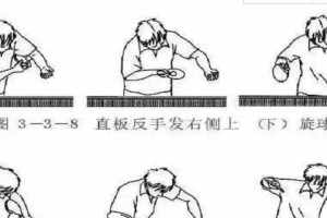 以乒乓球步伐训练口诀提升球技精准度（击球准确、稳定、有力，步伐训练全解析）