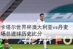 世界杯射手空城池之谜（无球国家的挑战与困境）